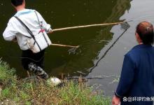 重庆男子违规钓鱼被抓钓到一条23斤的大鱼！-坠落鱼
