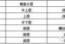 鱼不开口时，先别怪天气，看看是不是鱼层出现了问题-坠落鱼